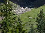 Cdn Rockies Adventure (Aug 2010) - Canmore - 036
